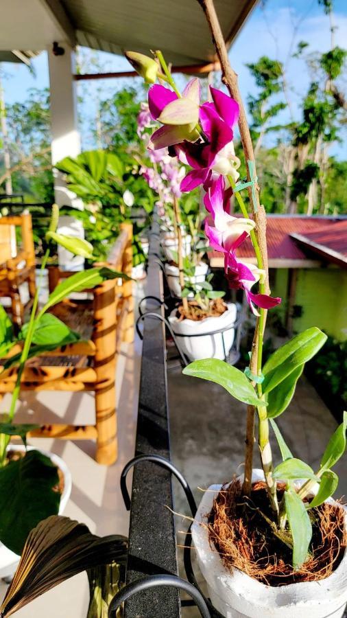 Matilde B&B - La Paz, Carmen Carmen  ภายนอก รูปภาพ